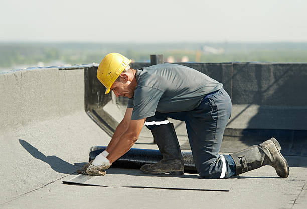 Best Specialty Insulation in Sturgis, KY
